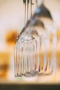 Close-up view of clean empty champagne glasses hanging Royalty Free Stock Photo