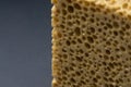 Close up view of cleaning sponge, mesh structure pattern on black surface. Yellow sponge close-up. Royalty Free Stock Photo