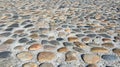 Cobblestone Street, Charleston South Carolina