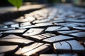 a close up view of a cobblestone walkway with a tree in the background Royalty Free Stock Photo