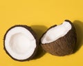 close up view coconut concept. High quality photo