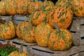 Close up view of colorful autumn season warty pumpkins Royalty Free Stock Photo