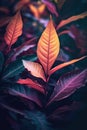 Close-up view of colorful bundle of autumn leaves.