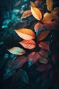 Close-up view of colorful bundle of autumn leaves.