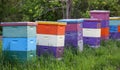 Colorful honey bee boxes, selective focus