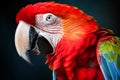 Close-Up View Of A Colorful Parrot Portrait Against A Dark Background - Generative AI