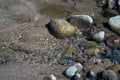 Close-up View of Colorful Pebbles, Coarse Sand in Water Waves