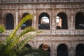 Colosseum in Rome, Italy with palm tree foreground. Royalty Free Stock Photo
