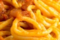 Close-up view of the cooked spaghetti with onion sauce Royalty Free Stock Photo