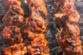 Close up view cooking pork barbecue or barbeque on outdoors charcoal grill. Selective focus on pieces of roast meat Royalty Free Stock Photo