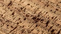 A close up view of cork featuring its natural texture and pattern Royalty Free Stock Photo