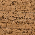 Close-up view of a cork texture displaying a natural, cracked pattern. The surface Royalty Free Stock Photo