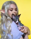 Close-up view of cosplay elf young female with Sphynx cat on yellow background Royalty Free Stock Photo