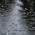 A closeup view of countless raindrops creating intricate patterns and ripples on a dark wet Royalty Free Stock Photo