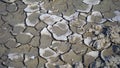 Close up view of cracked dried soil. Desiccation in soil, hard panic surface, natural dryness and rough desert plains. It occurs