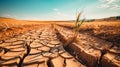 Close-up view of the cracked, dry soil in a field of wheat recently harvested in the countryside. Concept image of wasteland