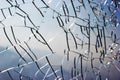 Close up view on a cracked glass background Royalty Free Stock Photo