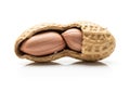 A close up view of a cracked peanut revealing its two kernels isolated on white background Royalty Free Stock Photo