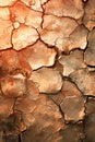 Close Up of Cracked Desert Surface. Generative AI