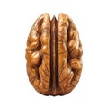 A Close-Up View of a Cracked Walnut Shell Royalty Free Stock Photo