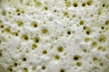 Close-up view of crepes dough, pancakes during the cooking process Royalty Free Stock Photo