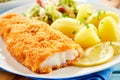 Crispy breaded fish with potatoes in close up Royalty Free Stock Photo