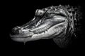 Close up view crocodile. Wild animal isolated on a black background. Neural network AI generated