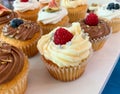 Close up view of cupcake with white vanilla frosting and fresh raspberry on the top Royalty Free Stock Photo