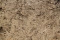 view of cut of soil Royalty Free Stock Photo