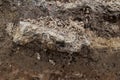 view of cut of soil with black stone Royalty Free Stock Photo