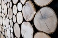 Close up view of cut wooden log. Unique circles from old trees. Creative modern interior design idea for home wall decor. Abstract Royalty Free Stock Photo