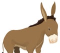 Close up view of cute donkey with brown fur, Vector illustration Royalty Free Stock Photo