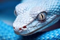 Close up view of a dangerous white snake.AI generated