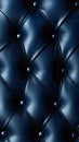Luxurious Navy Blue Tufted Upholstery Texture. Royalty Free Stock Photo