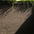 Textured Dark Brick Wall with Overhanging Green Ivy and Shadow Patterns background brown Royalty Free Stock Photo