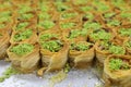 Close up view of delicious Arabic kataifi/kadayif pastry nest cookies dessert with Pistachio nuts