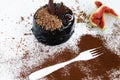 Close up view of delicious chocolate cake with figs in a plate and a fork cacao decoration Royalty Free Stock Photo