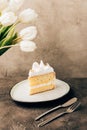 close-up view of delicious piece of cake with whipped cream and beautiful Royalty Free Stock Photo