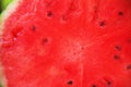 Close up view of delicious watermelon