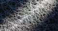 Intricate Network of White Fungal Hyphae on Dark Background Royalty Free Stock Photo
