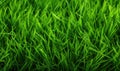 Close-up view of dense vibrant green grass. Created with AI