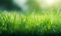 Close-up view of dense vibrant green grass. Created with AI