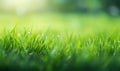 Close-up view of dense vibrant green grass. Created with AI