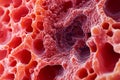 Abstract Red Cellular Structure Microscopic 3D Render Spongy Texture Close Up View AI generated. Royalty Free Stock Photo