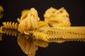 Close-up view of different types of pasta Royalty Free Stock Photo