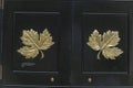 close up view of the doors or the Canadian embarrass