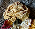 Close up view of dried rose flower on a jute canvas. Royalty Free Stock Photo