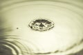 Close up view of drops making circles on water surface isolated on background Royalty Free Stock Photo