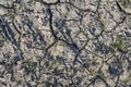 Close up view on dry agricultural grounds influenced by climate change