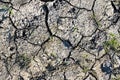 Close up view on dry agricultural grounds influenced by climate change